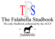 THE FALABELLA STUDBOOK
