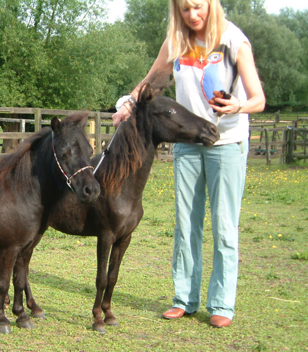 FALABELLA ATONADA WITH EQUULEUS ET