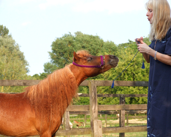 LIMELIGHTS SABRE WITH SUSAN ECKHOLDT
