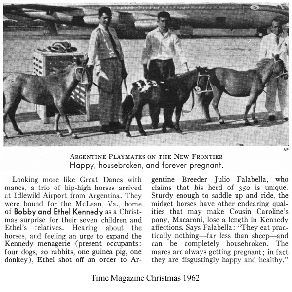 TIME-28-12-62-FALABELLAS